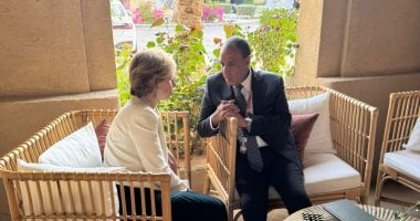 مباحثات مصرية فرنسية حوّل تطورات الأوضاع في السودان