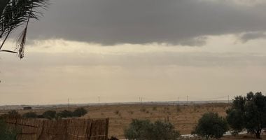 حالة الطقس.. سحب ممطرة على السواحل الشمالية الشرقية وأمطار متفاوتة الشدة