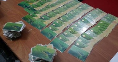 خطوات تحديث بيانات بطاقات التموين أونلاين.. اعرف التفاصيل