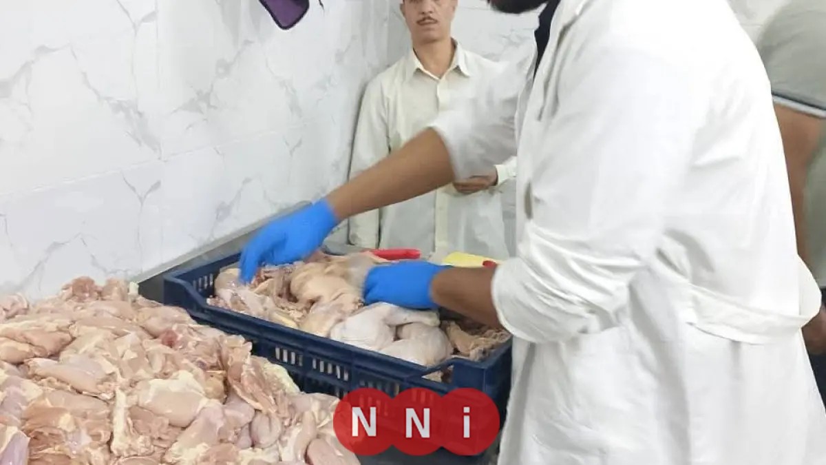 وزارة الزراعة تضبط أكثر من 270 طنًا من اللحوم غير الصالحة وتصدر 981 محضرًا خلال سبتمبر