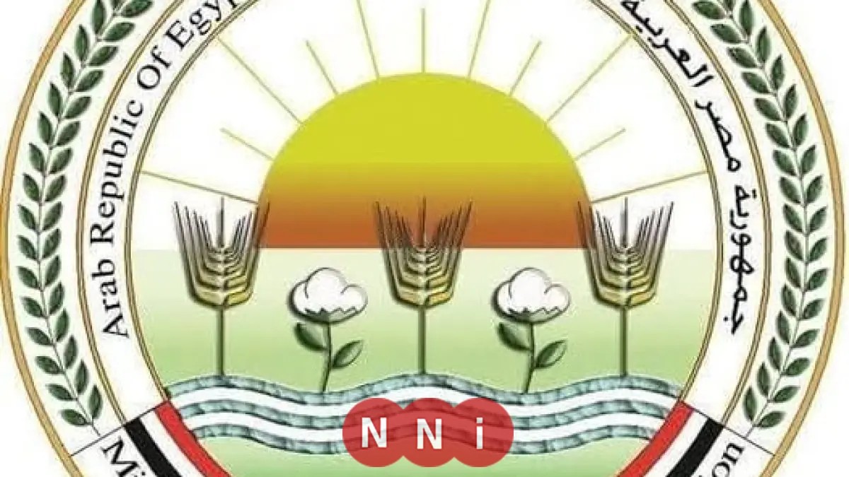 إغلاق وتشميع محل دواجن بالجيزة وضبط كميات كبيرة غير صالحة للاستهلاك الكيلو بجنيه