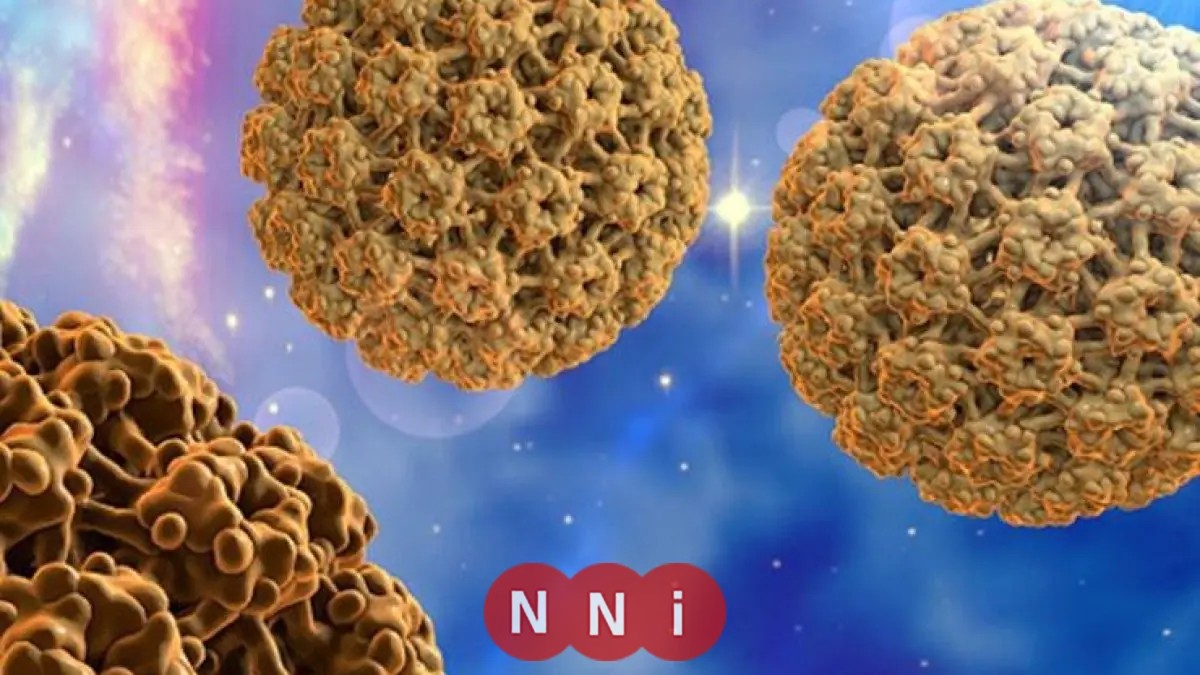 طرق انتشار فيروس ماربورج في مصر وكيفية الوقاية منه