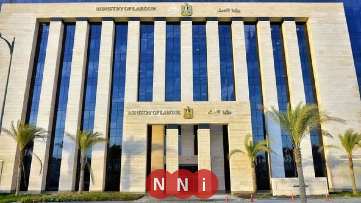 فرص عمل جديدة: وزارة العمل تعلن عن 5843 وظيفة شاغرة في 10 محافظات في تحديث نصف شهري