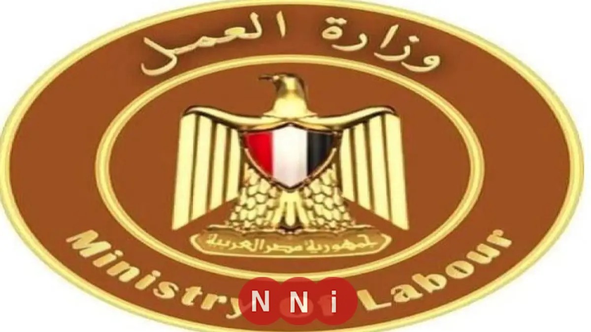 اكتشف الوظائف الجديدة التي أعلنت عنها وزارة العمل في هذه المجالات المميزة