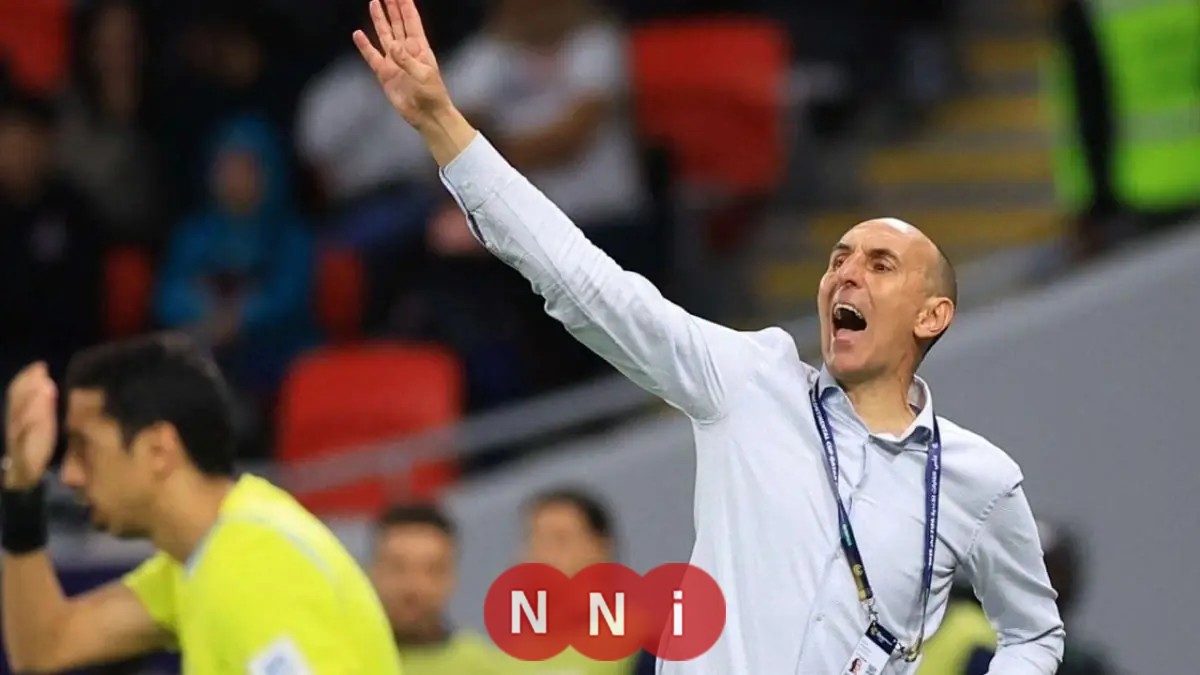 يوريشيتش: خبرة فلامنغو تتجلى عقب تهديد الصحفيين وخسارة بيراميدز ليست مفاجأة