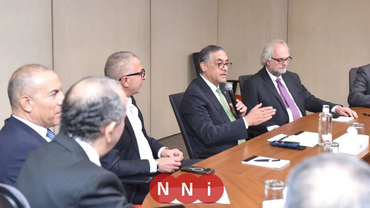 الهيئة العامة للاستثمار تكشف عن مشروع ضخم لإنتاج الأغذية المجمدة في مصر بطاقة 7200 طن سنوياً