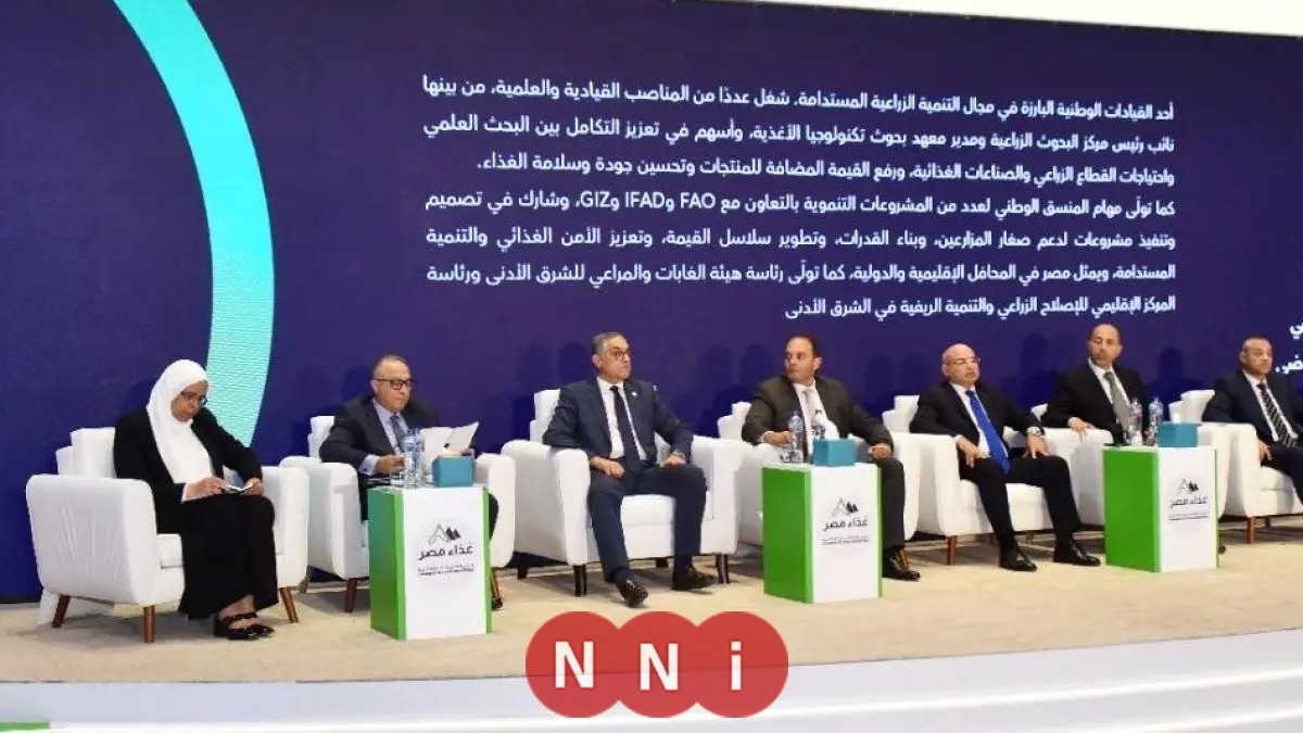 تضاعف متوقع للاستثمارات الأجنبية المباشرة في مصر بحلول 2026 و2027