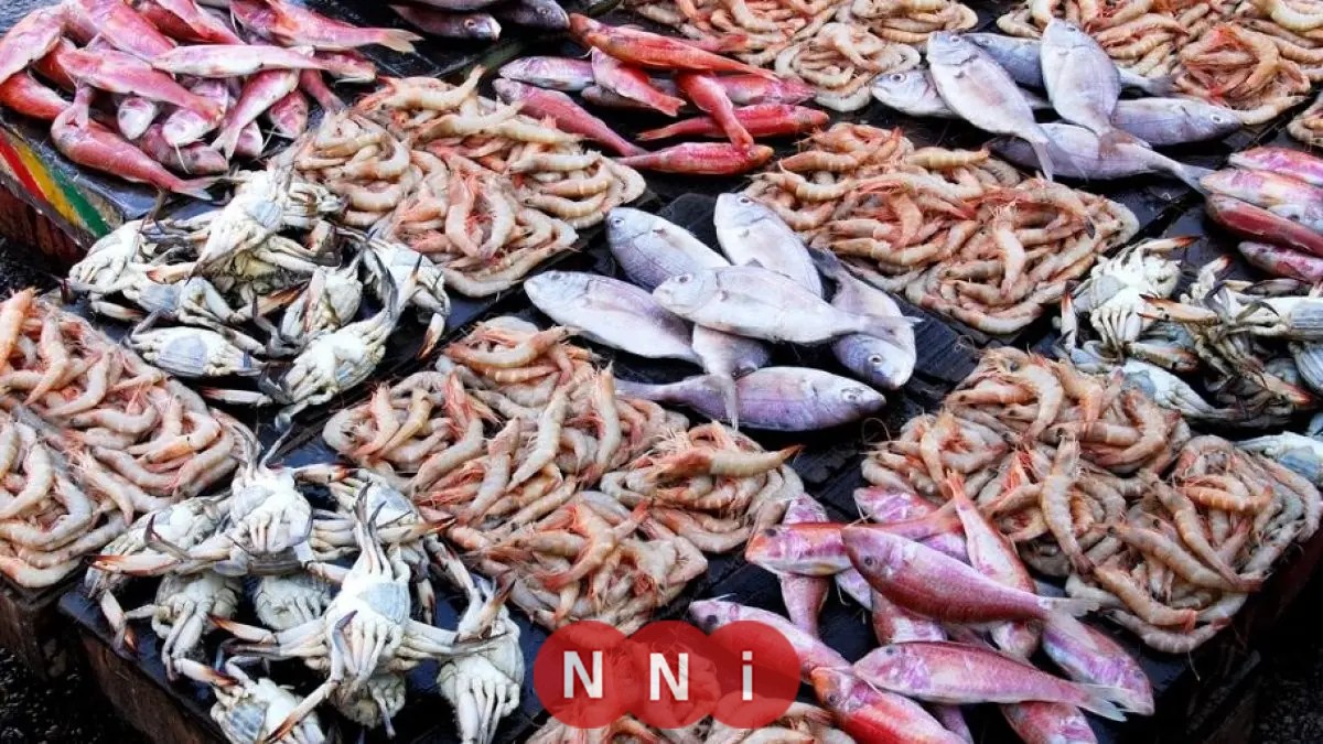 تعرف على أسعار الأسماك اليوم الخميس: قشر البياض يبدأ من 180 جنيهًا