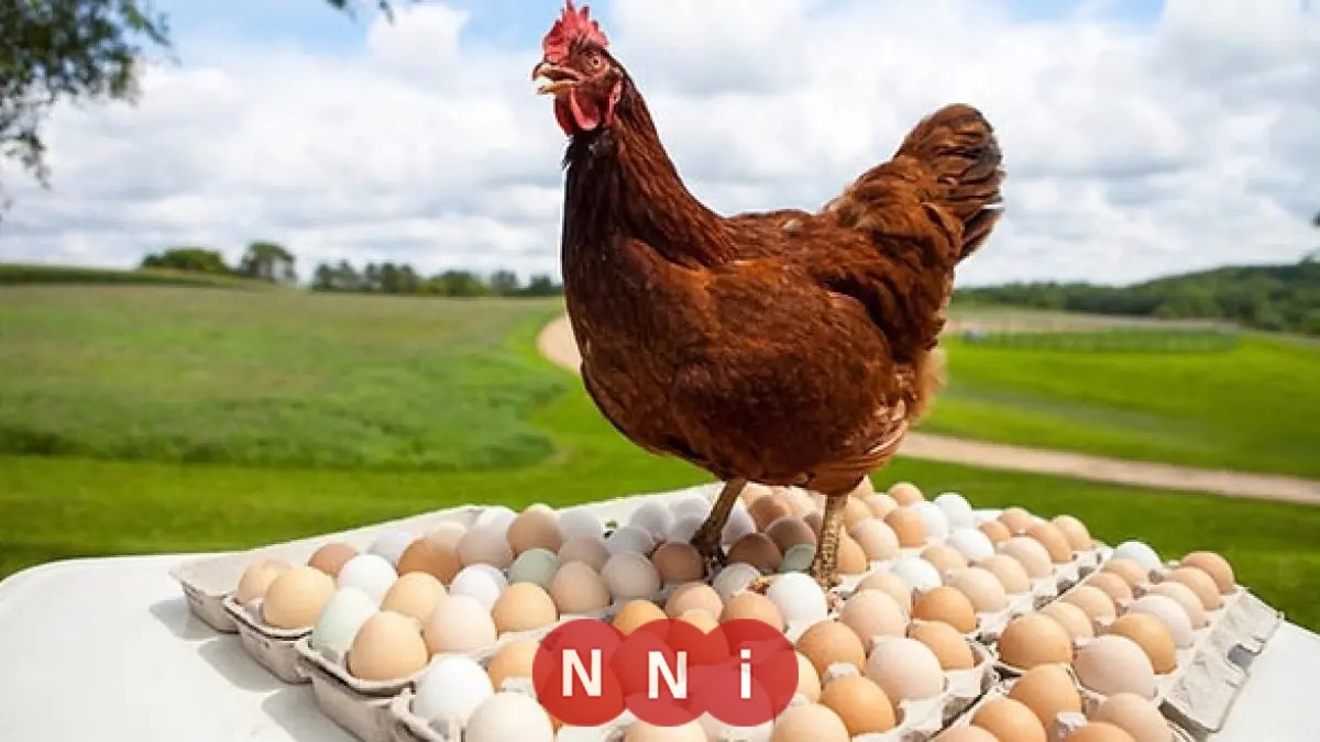 Please provide the original headline you would like rewritten.