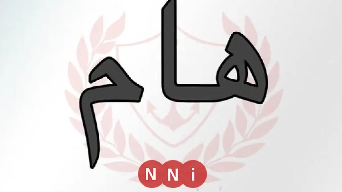 محافظ بورسعيد يعتمد إنشاء شلترين لإيواء الكلاب الضالة في بورسعيد وبورفؤاد