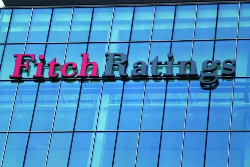 وكالة فيتش ترفع تصنيفها لمصر إلى إيجابي