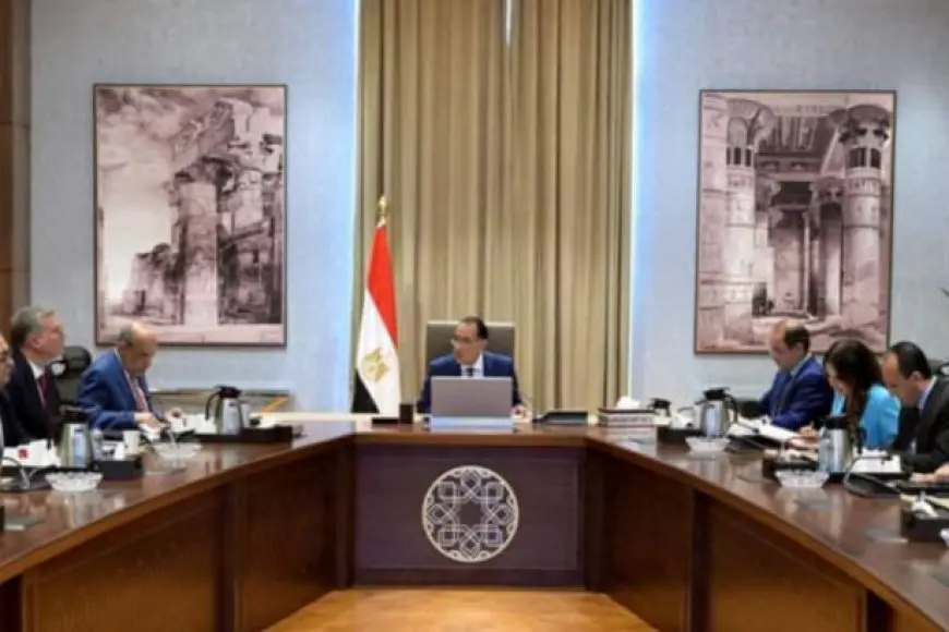 محمود عصمت: تحصيل 1.2 مليار جنيه مستحقات في شهر ونصف نتيجة للتعامل مع ملف سرقات الكهرباء