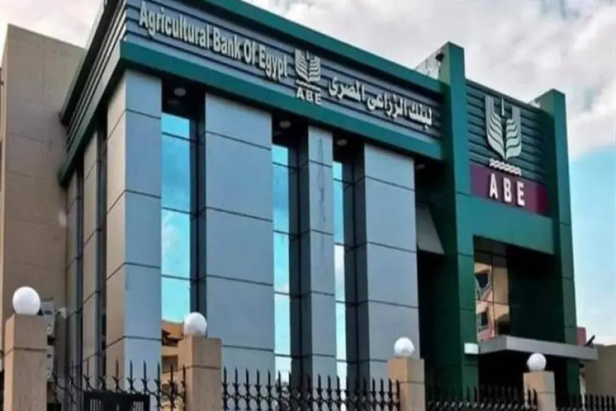 بروتوكول بين البنك الزراعي ووزارة الزراعة وشركة “MAFI” لتمويل الزراعات التعاقدية