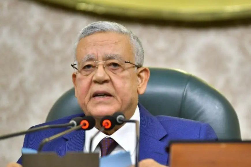 رئيس النواب: مصر لن تتهاون مع أي مساس بحقوقها أو أمنها المائي