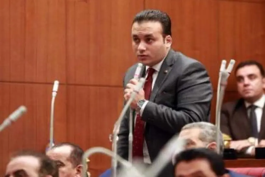 النائب عمرو فهمي: القمة الثلاثية في أسمرة ترسخ ركائز الاستقرار في منطقة القرن الإفريقي