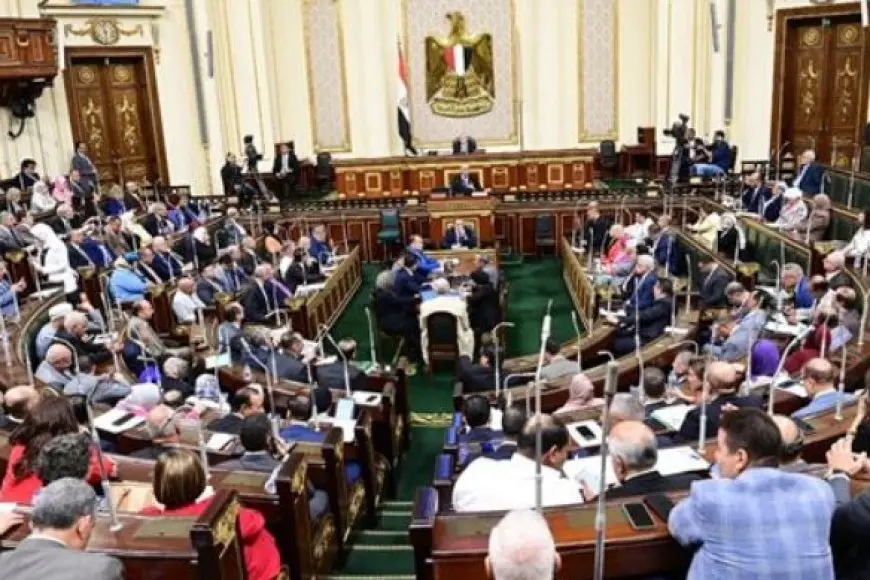 طلب إحاطة للحكومة بشأن تأخر موعد صدور اللائحة التنفيذية لقانون رعاية المسنين