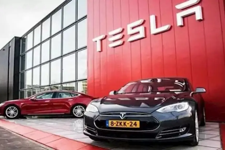 أسهم تسلا تقفز 13% عقب إعلان فوز ترامب برئاسة أمريكا للمرة الثانية