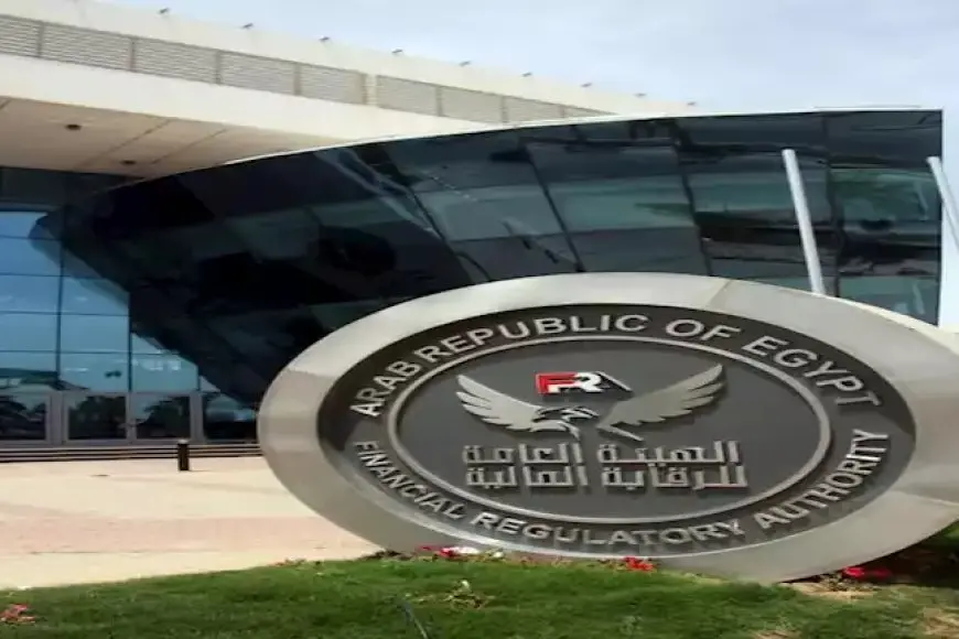 الرقابة المالية تطور ضوابط مكافحة غسل الأموال وتمويل الإرهاب بالمؤسسات المالية غير المصرفية