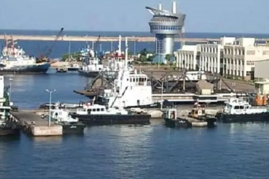 ميناء دمياط يستقبل 35 سفينة خلال 24 ساعة