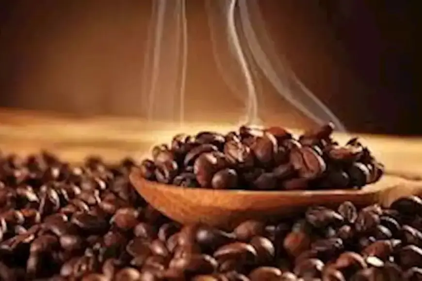 زيادة غير مسبوقة عالميا.. هل ترتفع أسعار البن في مصر؟ رئيس الشعبة يوضح