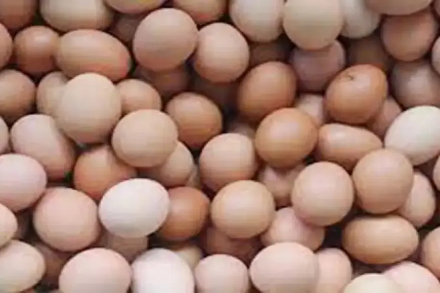 اسعار البيض اليوم الأحد في الأسواق (موقع رسمي)