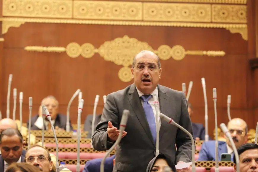 النائب إيهاب وهبة: لا يجب المساواة في التقنين بين الأراضي على النيل والأراضي الصحراوية