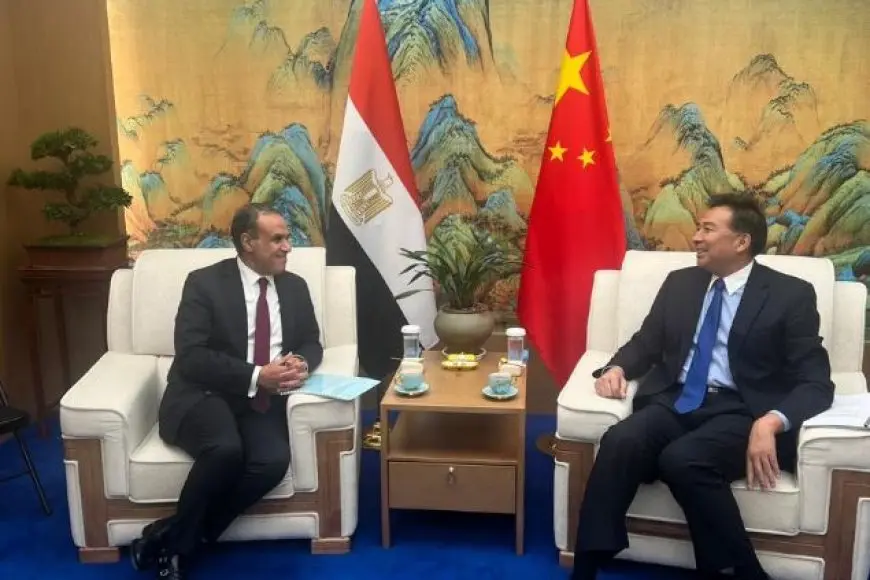 وزير الخارجية: نعمل على تعزيز التعاون التنموي مع الصين بما يتماشى مع رؤية مصر 2030
