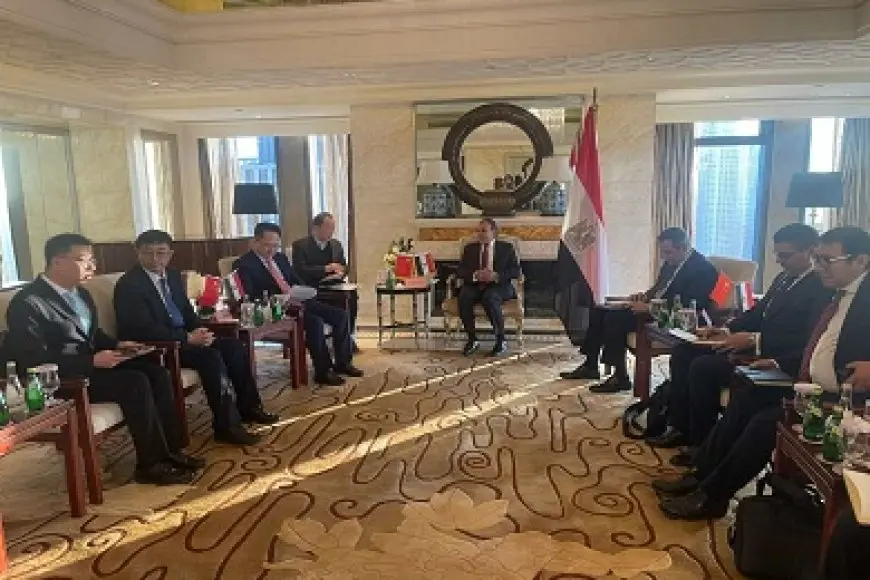 عبد العاطي يلتقي رئيس «تيدا» مُطور المنطقة الاقتصادية المصرية-الصينية