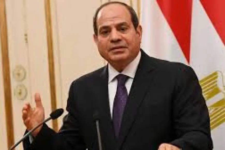 الرئيس السيسي: توافق بين مصر وإندونيسيا على أهمية وجود عملية سياسية شاملة بسوريا دون إقصاء