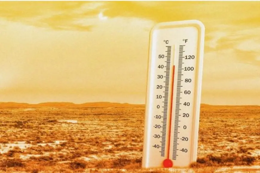ارتفاع تدريجي في درجات الحرارة.. الأرصاد الجوية تتوقع حالة الطقس لليوم