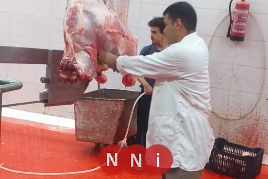 محافظ الجيزة يعلن عن فتح 23 مجزرًا مجانيًا للمواطنين خلال عيد الأضحى المبارك