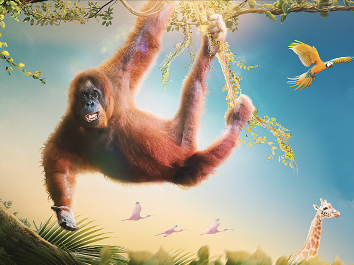 موسم الرياض 2026: رابط منصة وي بوك webook لحجز تذكرة حديقة الحيوان الكترونيا