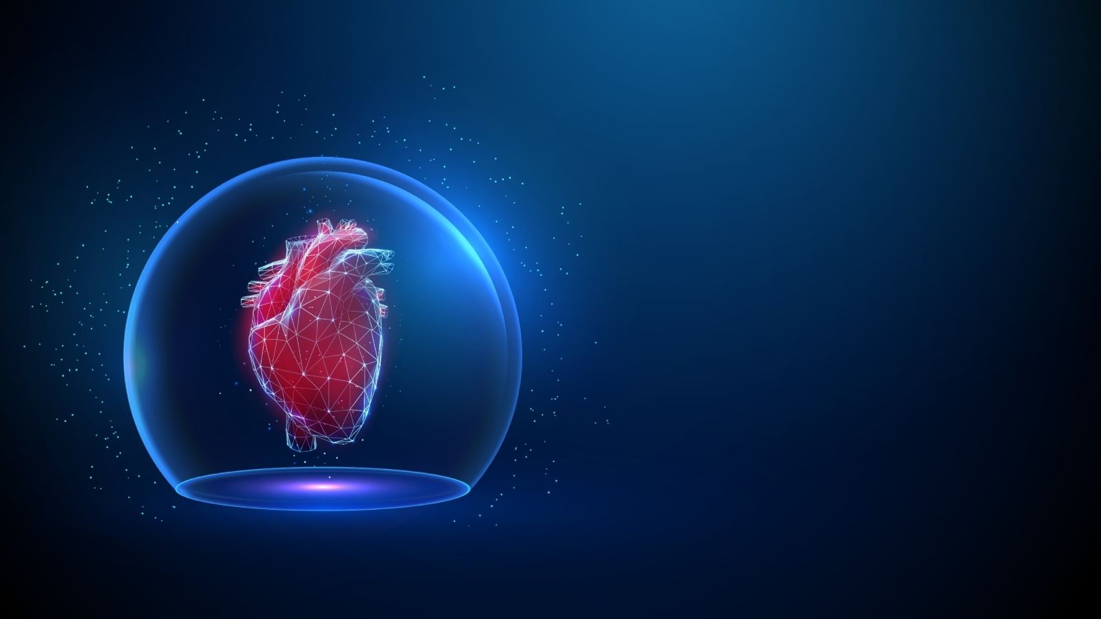 كيف تحافظ على قلبك صحيًا: أهم النصائح