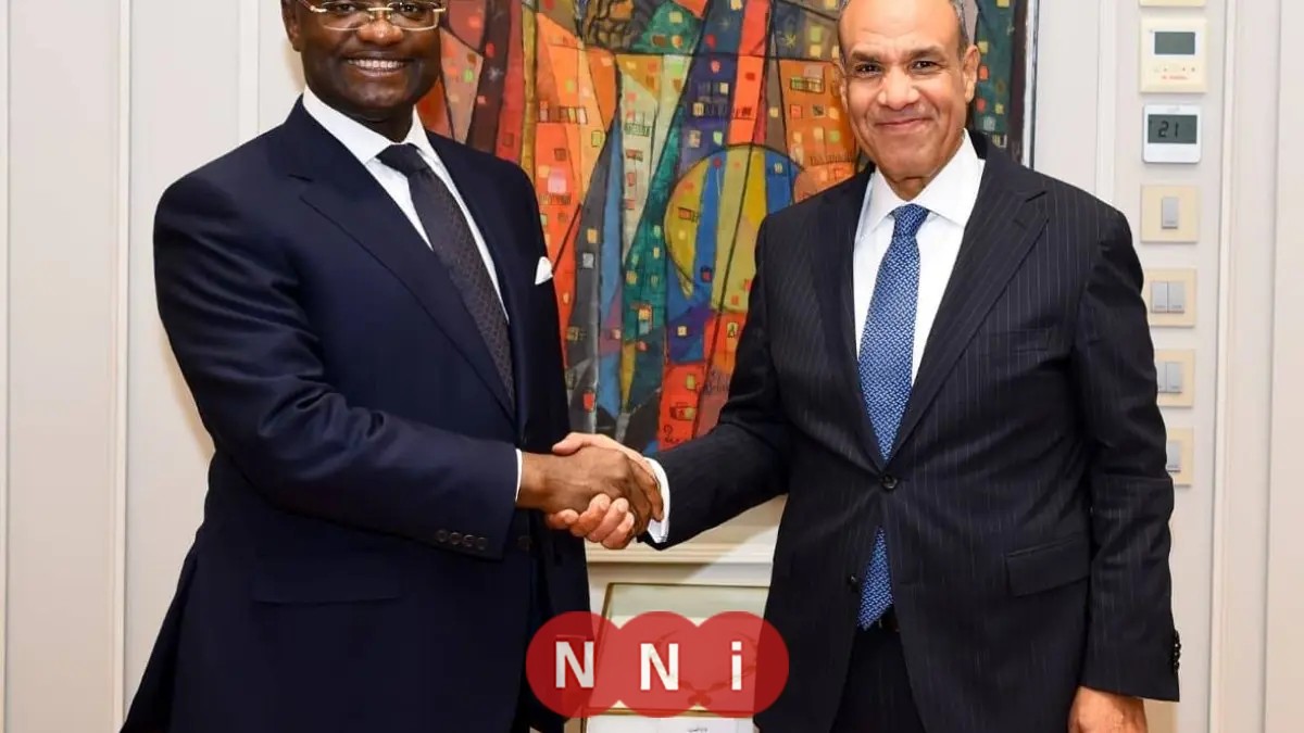وزير الخارجية يلتقي رئيس بنك التصدير والاستيراد الأفريقي لتعزيز التعاون الاقتصادي
