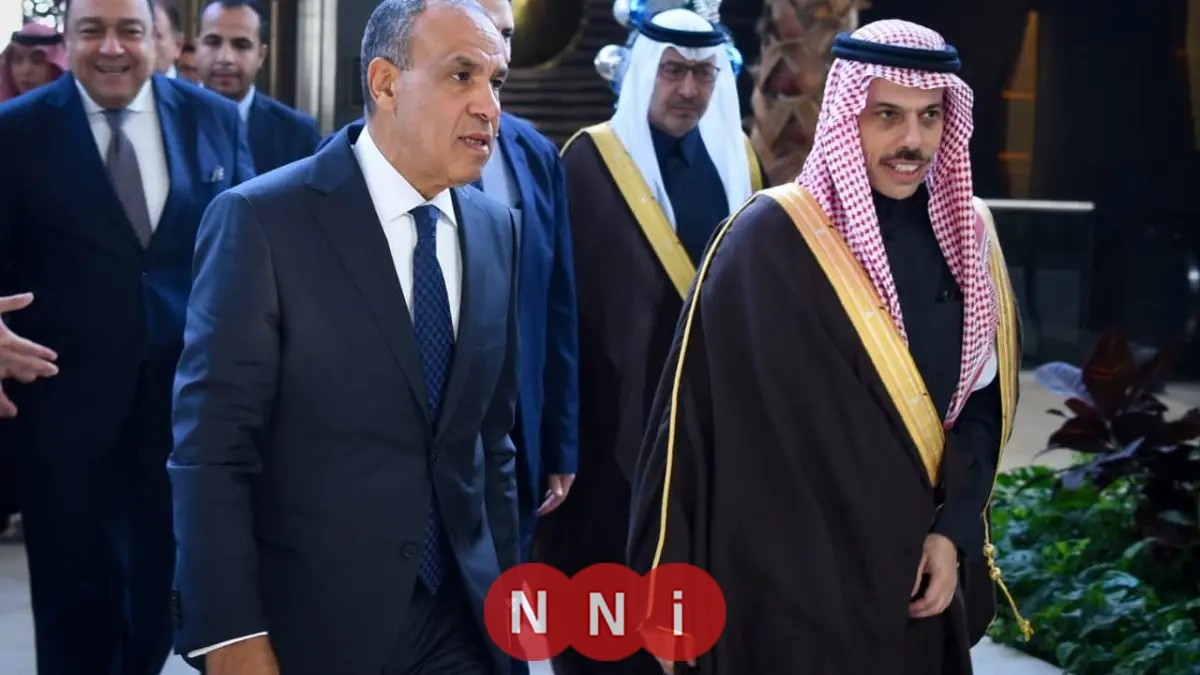 وزير الخارجية السعودي ونظيره يناقشان آخر تطورات الأوضاع في القرن الأفريقي