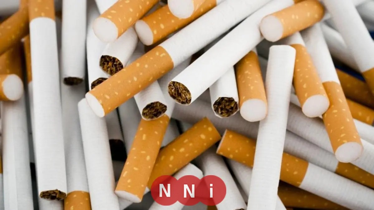 أسعار السجائر في مصر اليوم الجمعة 9 يناير 2026