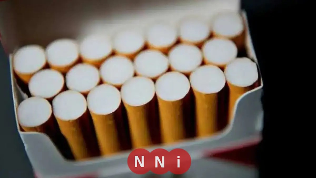 تعرف على أسعار السجائر اليوم الأحد 11 يناير 2026: تحديث جديد لأحدث أسعار العلب المحلية والأجنبية