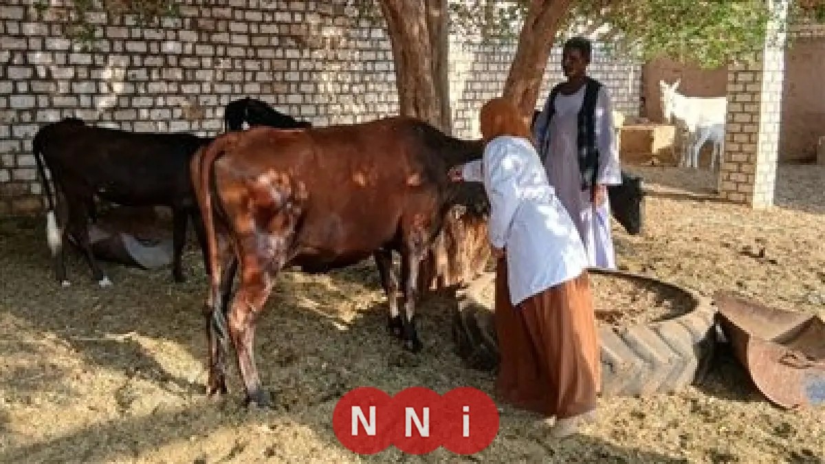 الزراعة تكشف عن اعتماد دولي لبحوث وقاية النباتات في إدارة الابتكار