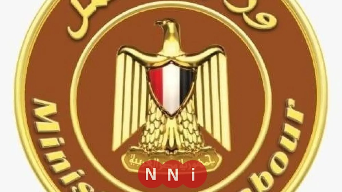 وزير العمل يستدعي صاحب فيديو مكتب العمل ويصدر أوامر بحل شكواه على الفور