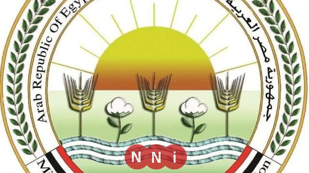 تحذير من الزراعة: احذروا الصفحات الوهمية التي تروج لبيع المنتجات الزراعية عبر الإنترنت والتواصل الاجتماعي