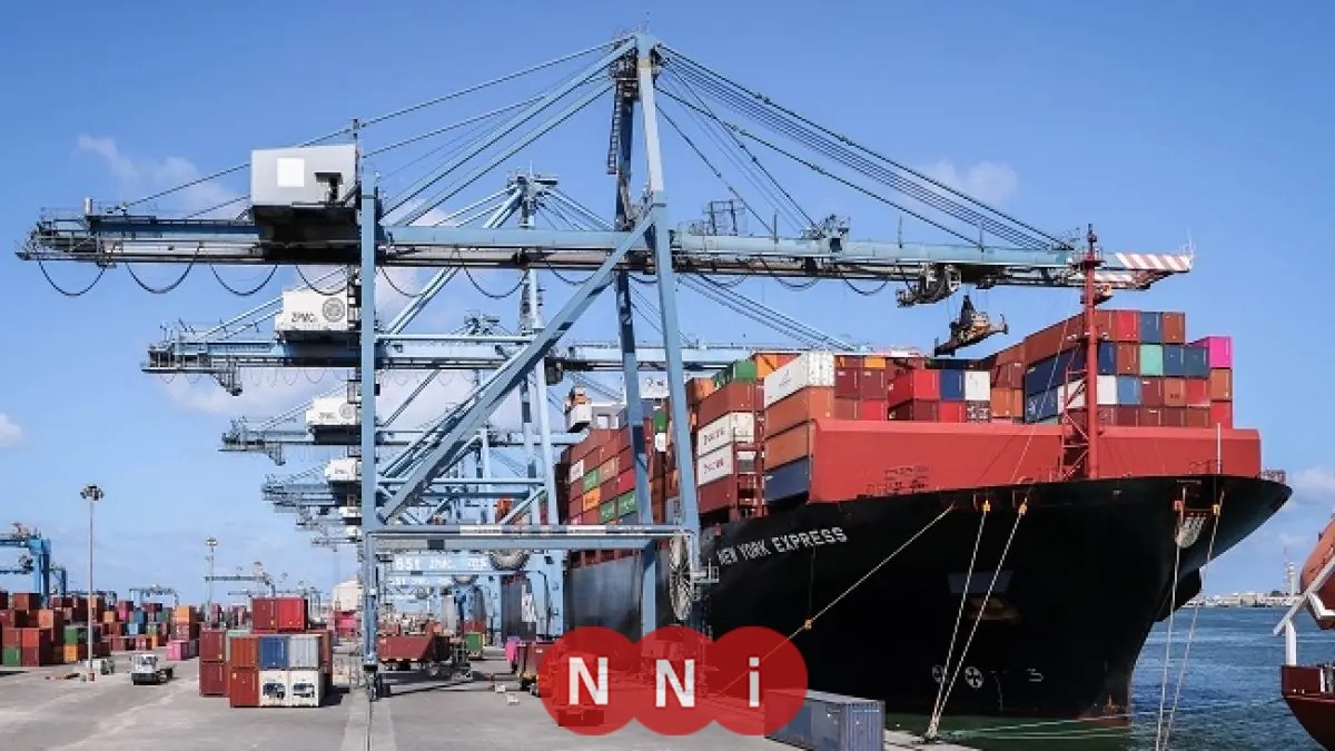 ميناء دمياط يشهد نشاطاً مكثفاً مع استقبال 29 سفينة في يوم واحد