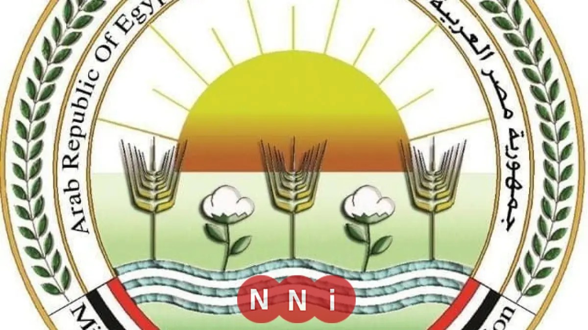 الزراعة تؤكد عدم وجود أي رصد للجراد الصحراوي في بئر العبد بسيناء