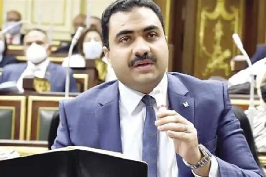 برلمانى يسأل الحكومة عن أسباب غلاء اللحوم رغم تراجع أسعار الأعلاف