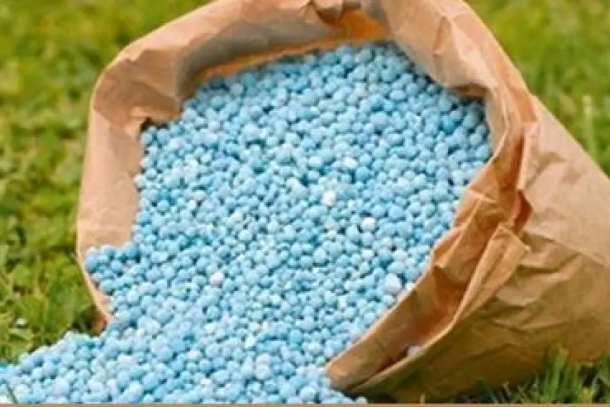 وزير الزراعة: نقدم السماد المدعم بـ 500 جنيه وسعره عالميا 20 ألفا.. وأي تعديات سيتم إزالتها