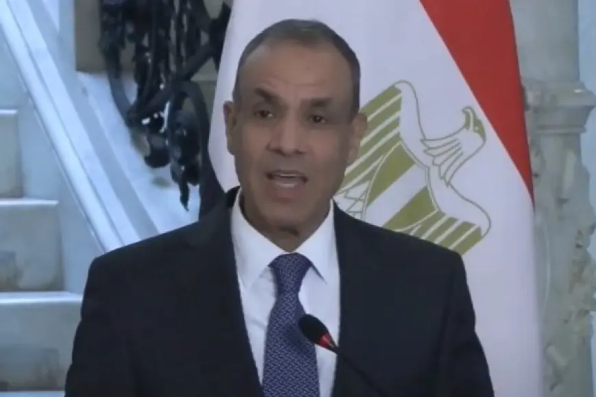 وزير الخارجية: حرصنا على تنفيذ استراتيجية حقوق الإنسان ليس إرضاء لطرف خارجي