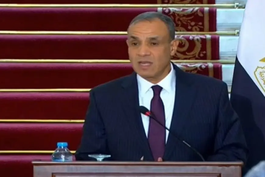 وزير الخارجية: الحاجة ملحة لوقف إطلاق النار في غزة فورا