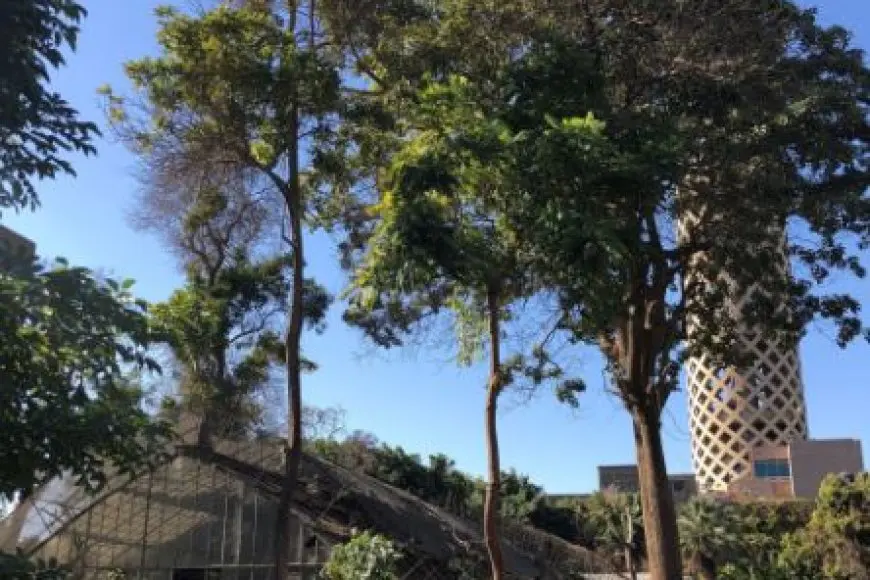 الزراعة تنفي إغلاق حديقة الزهرية بالزمالك: مفتوحة أمام الجمهور