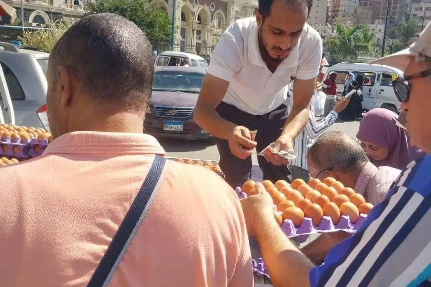 بدعم 35 جنيها.. الزراعة تبيع 32 ألف طبق لبيض المائدة بأسعار مخفضة للمواطنين