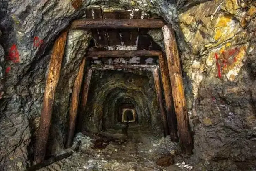 اكتشاف أكبر منجم ذهب في العالم بقيمة 83 مليار دولار