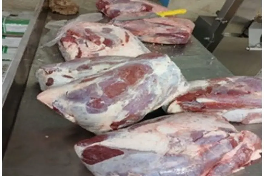 التحالف الوطني للعمل الأهلي يعلن عن تجهيزاته لعيد الأضحى: تقديم دعم إضافي للأسر الأكثر حاجة